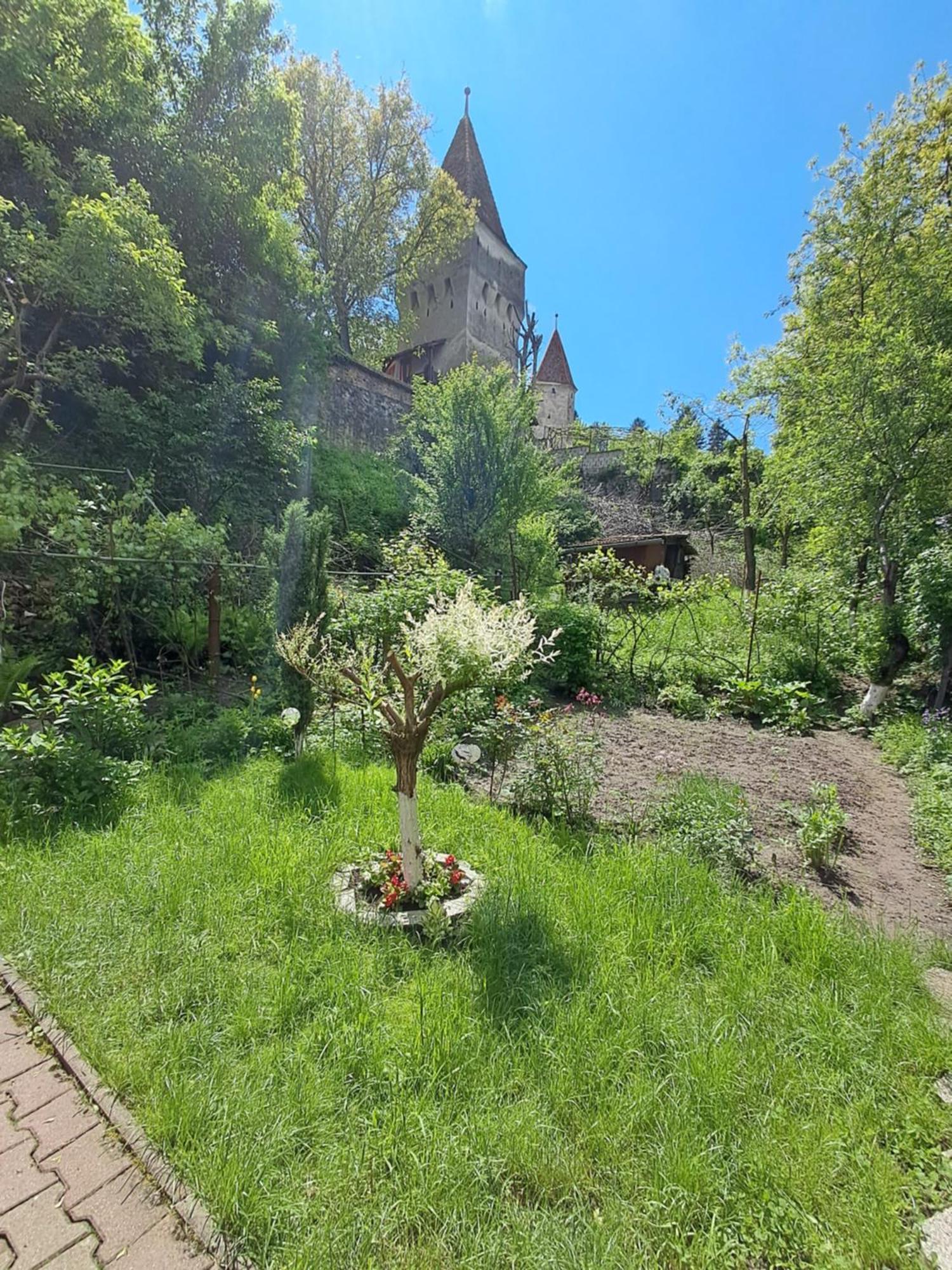 דירות סיגישוארה Casa Adimi מראה חיצוני תמונה